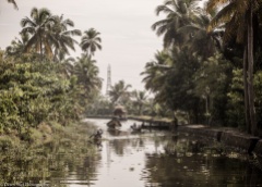 kerala backwater tour-2