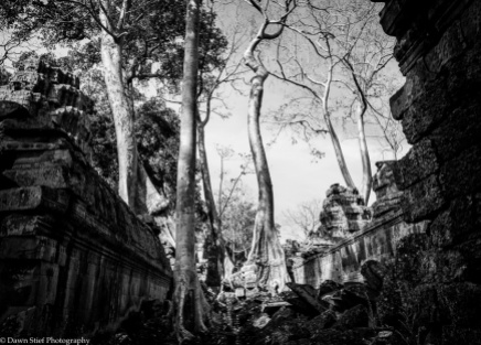 Contemplating Angkor Wat-4