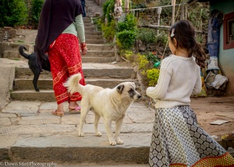 One of the many friendly dogs we encountered on the walk up to Aadinath Temple
